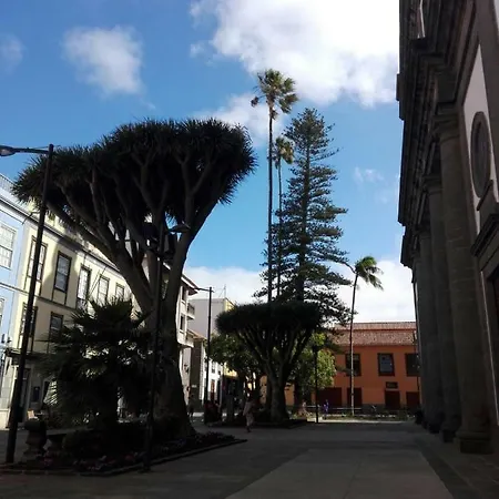 Tradition And Magical Nature Apartment La Laguna (Tenerife)